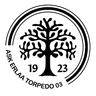 ASK Erlaa Torpedo 03 Logo